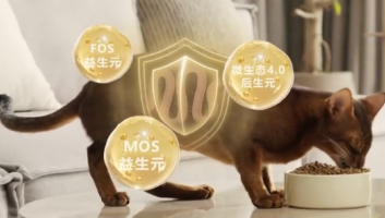 凱納全案營銷策劃：千億寵物賽道，“它經濟”為何爆款頻出？（上）